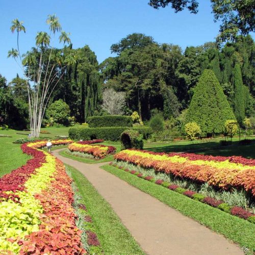 Botanical_Garden_of_Peradeniya_03_20200113225731