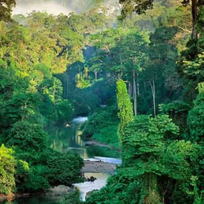 Sinharaja-Forest-Reserve-World-Heritage-Rainforest-Trekking-Guide