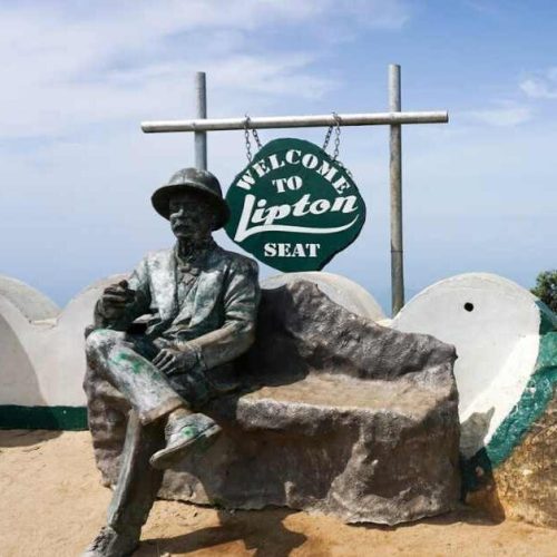 The Enchanting Beauty of Lipton's Seat The Enchanting Beauty of Lipton's Seat